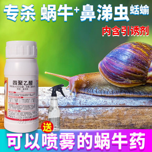 蜗牛专用药鼻涕虫四聚乙醛杀虫剂