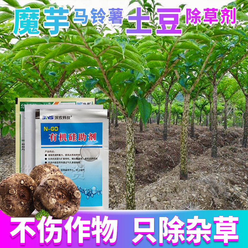 魔芋马铃薯土豆专用除草剂磨芋洋芋苗后砜嘧磺隆套装配方除草农药