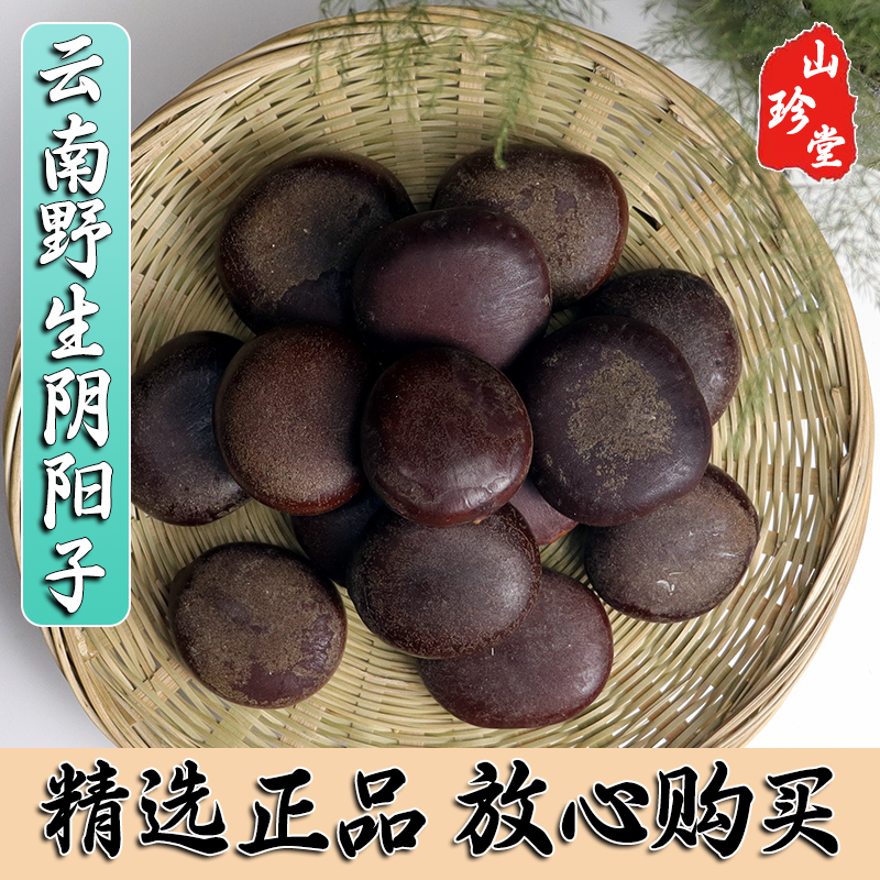 阴阳子中药材云南野生阴阳子 龙凤子 肾树宝
