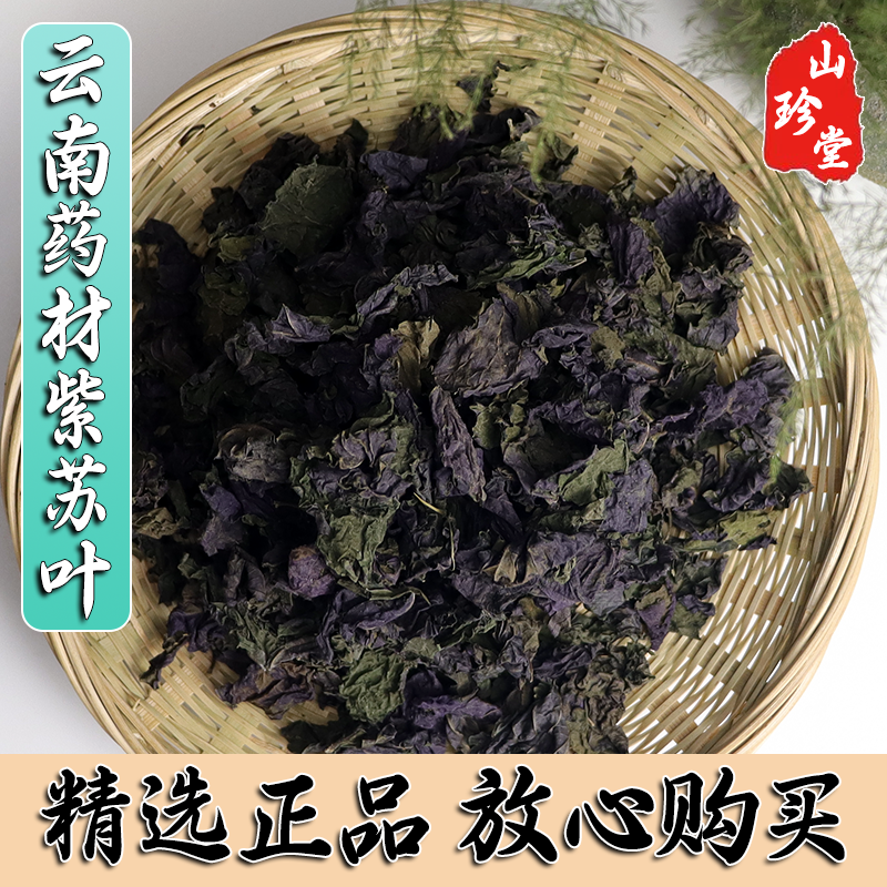 紫苏叶中药材 农家新鲜干紫苏叶 苏子叶 红苏叶