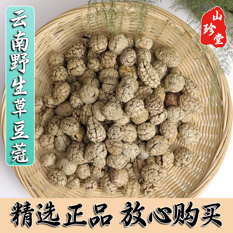 草豆蔻中药材云南豆蔻 草豆蔻 草寇