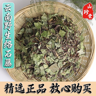 络石藤中药材云南野生络石藤 白花藤 络石 石龙藤 爬山虎