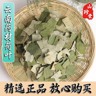 荷叶中药材云南荷叶 纯天然荷叶干 荷叶茶 莲叶