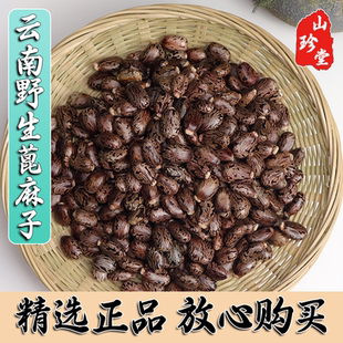 蓖麻子中药材云南野生蓖麻子 麻籽 蓖麻仁