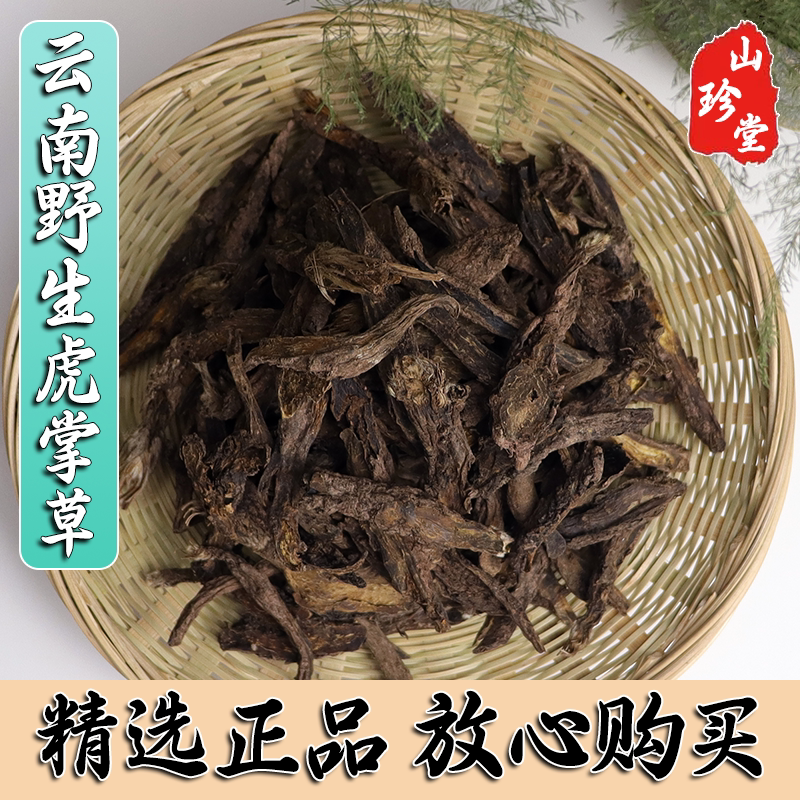 虎掌草中药材云南野生虎掌草 见风青 狗脚迹