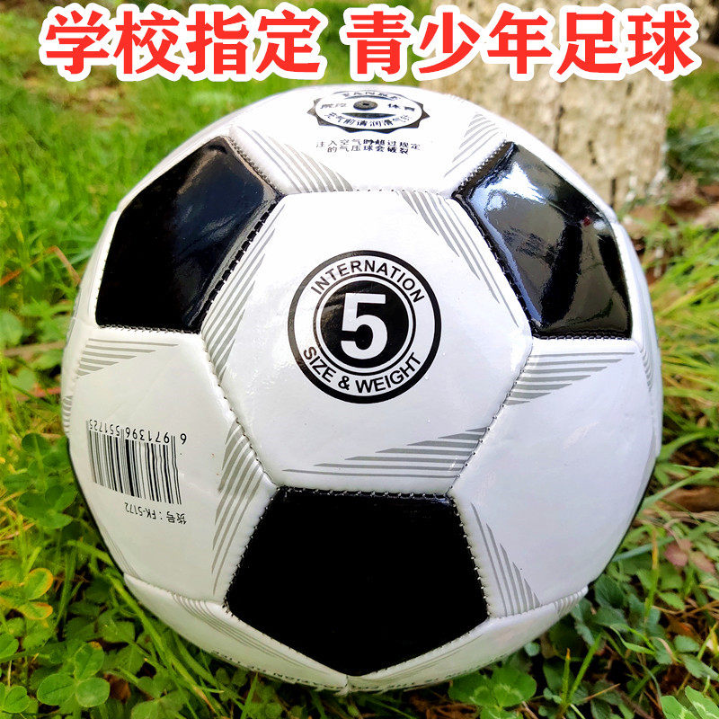 梵克足球儿童小号4号5号中小学生训练专用耐磨耐踢幼儿园球机缝球
