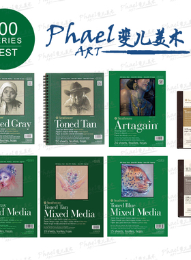 Strathmore 丝蒂摩 暖棕 冷灰 黑卡 彩铅画本 何石磊老师常用 400