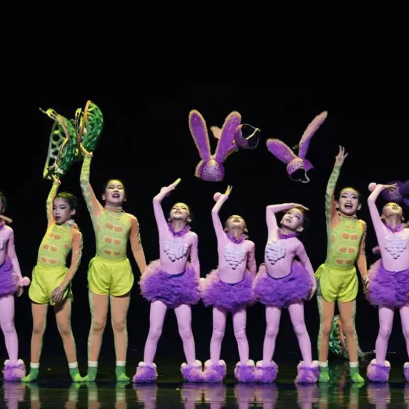 第十三届小荷风采龟兔又赛跑儿童舞蹈演出服动物兔子乌龟表演服饰