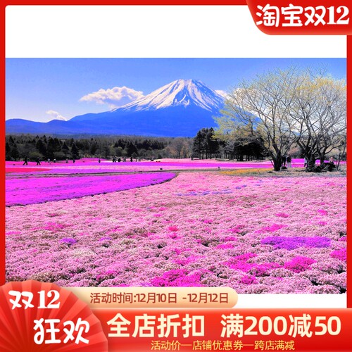 dmc世界名画风日本富士山十字绣