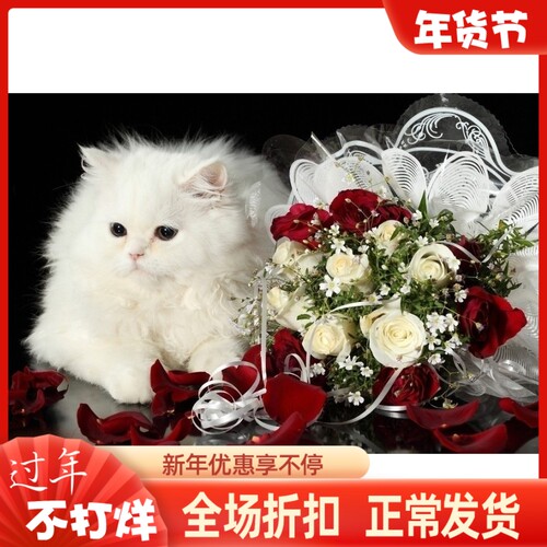 精准风印花法国动物猫咪十字绣