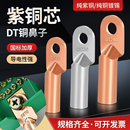 国标铜接线端子DT铜鼻子紫铜接头电线鼻直接头线耳10平方镀锡堵油