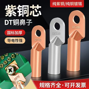 国标铜接线端子DT铜鼻子紫铜接头电线鼻直接头线耳10平方镀锡堵油