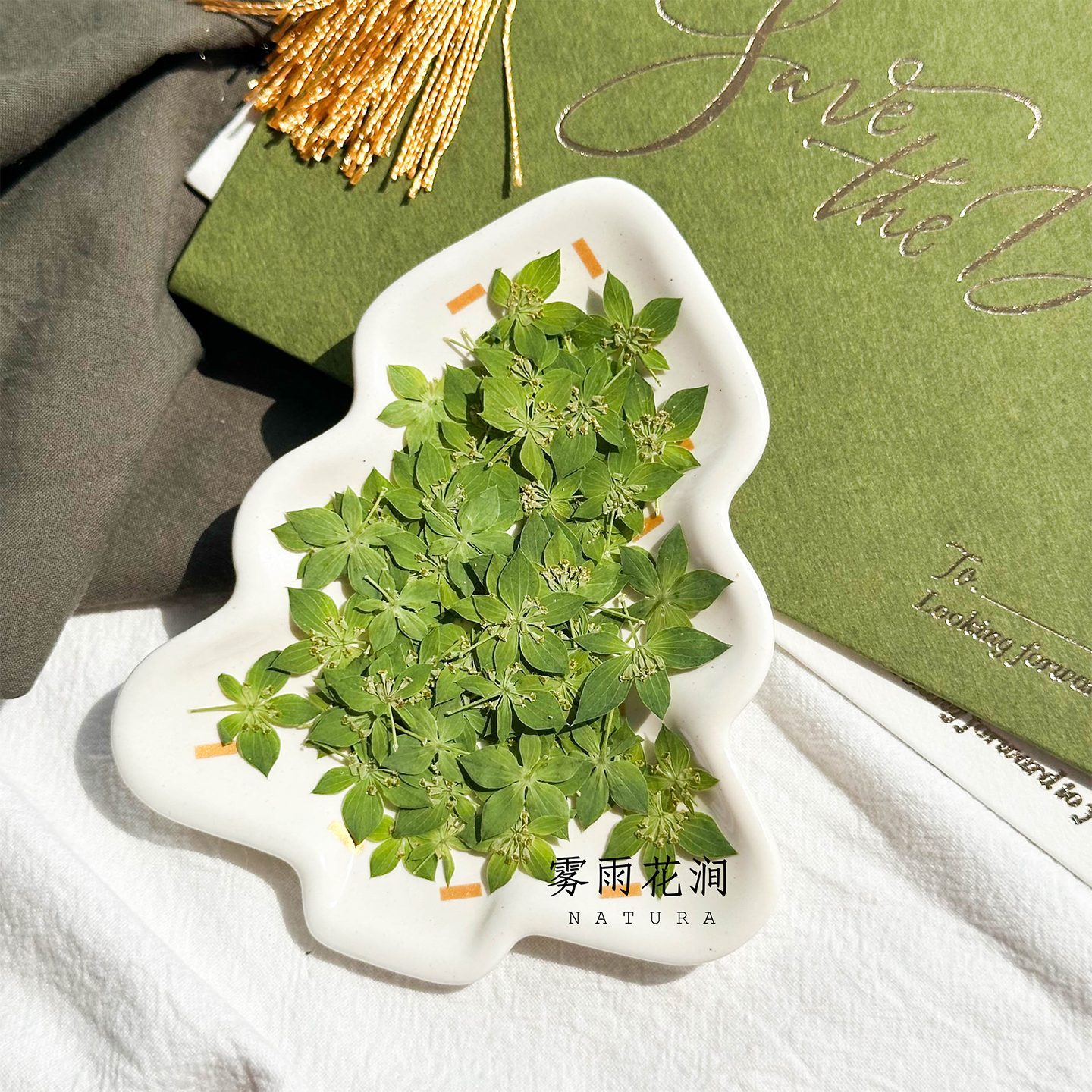 兔耳草干花叶上黄金迷你押花