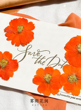 橘色波斯菊干花压花手工押花相框diy创意真花请柬贺卡滴胶手机壳