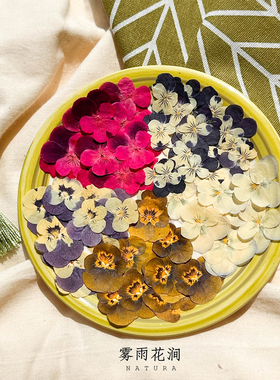 三色堇干花押花 香堇植物标本装饰画书签请柬台灯diy滴胶手机壳