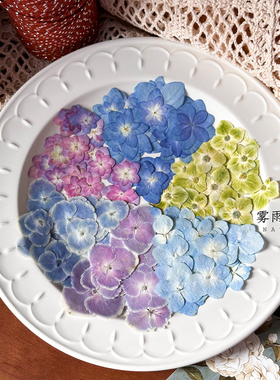 原色天然重瓣绣球押花干花标本相框画创意手工礼物diy滴胶手机壳