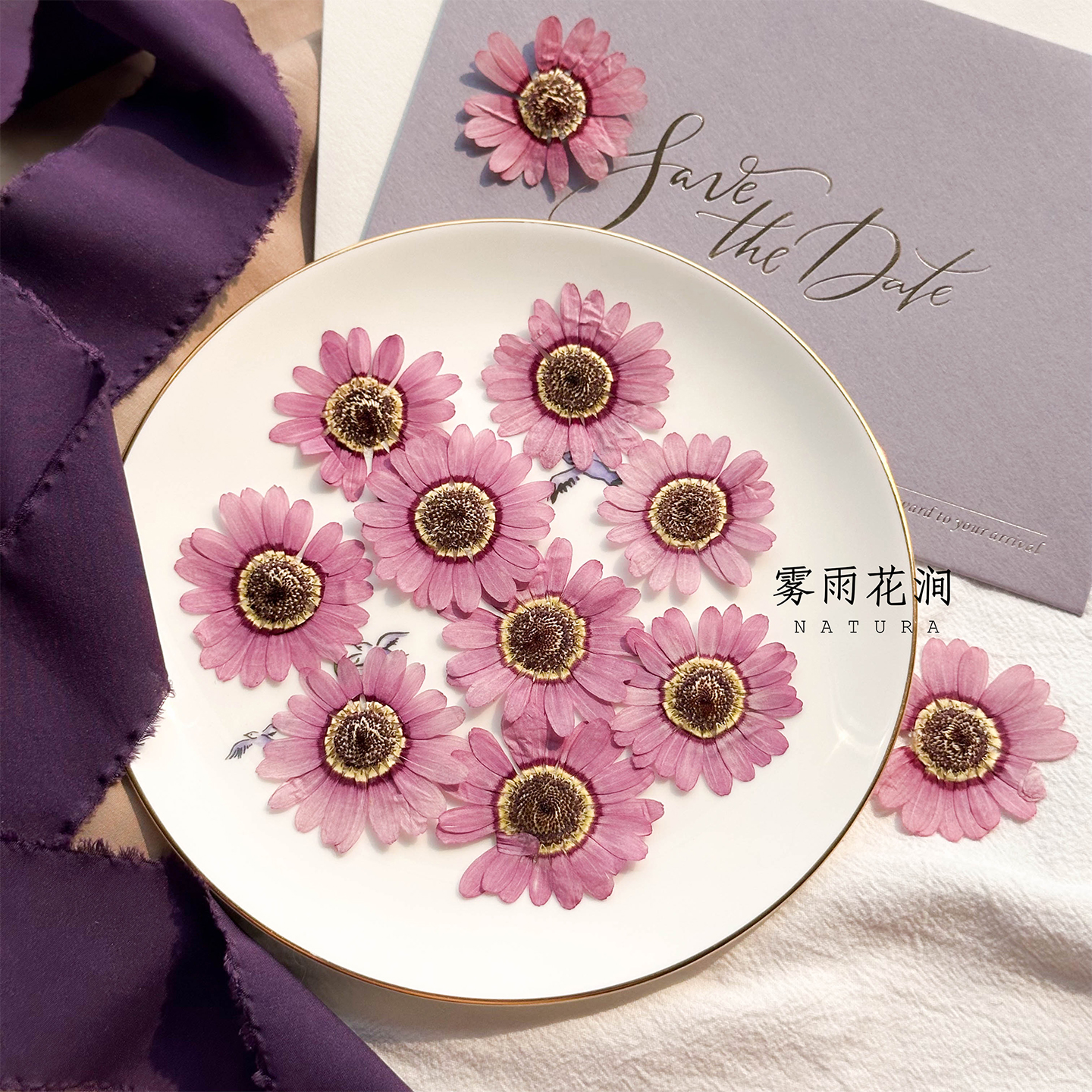 格兰黛丝粉紫色压花标本干花材料