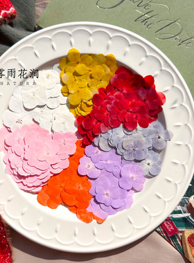 缤纷色绣球花压花标本无尽夏押花植物书签手账干花创意生日装饰画