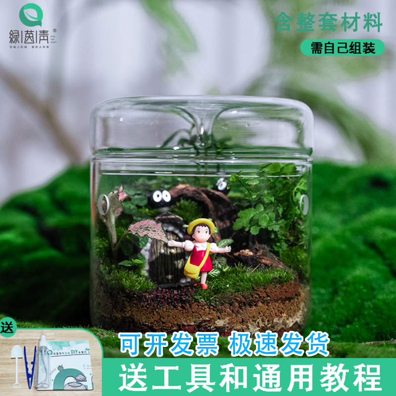 微景观桌面集露瓶DIY材料包