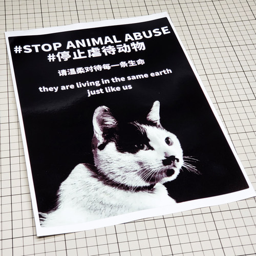 卡思贴pvc爱护保护动物汽车贴纸