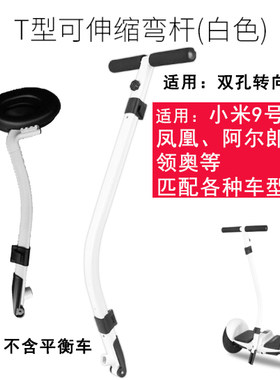 阿尔郎9号凤凰自带双孔平衡车