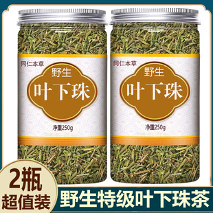 叶下珠中药材500g广西特级野生叶下珠茶中药材叶下珠有什么功效