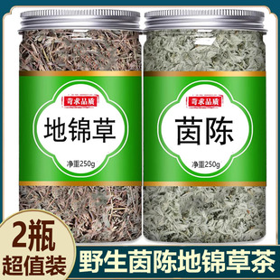 茵陈地锦草特级野生新鲜地锦草茵陈养肝茶中药材正品的功效与作用