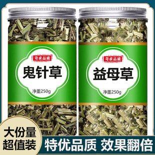 鬼针草益母草野生鬼针草益母草干草茶中药材泡水喝的功效与作用