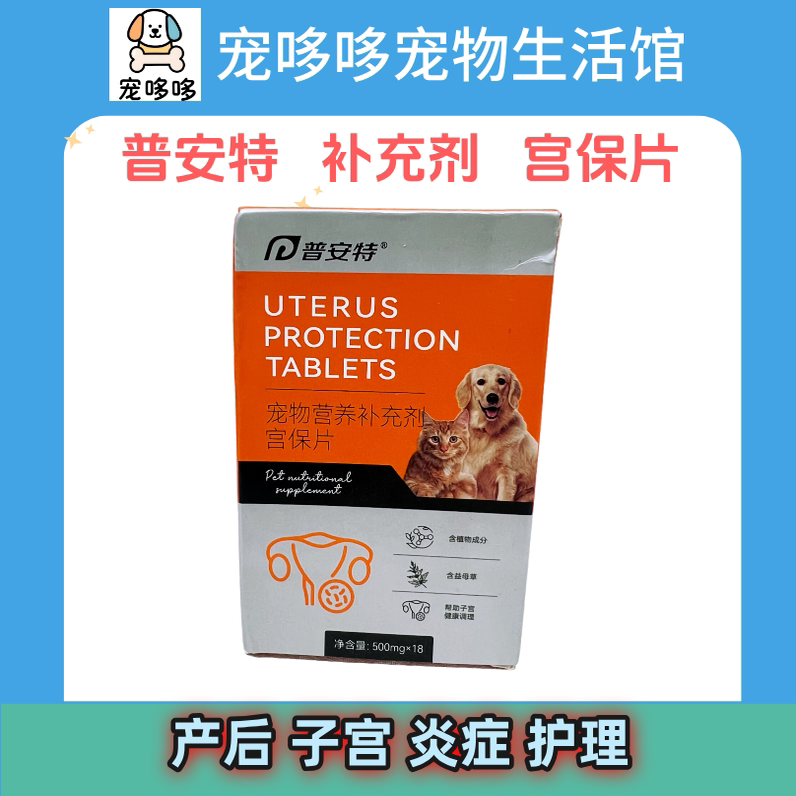 普安特宫保片母猫咪产后下奶护理
