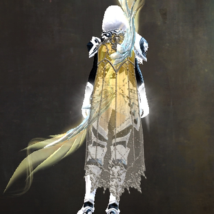 激战2精美蕾丝披肩皮肤商城道具黑狮宝石含wegame