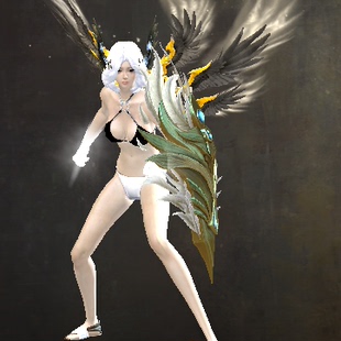 激战2女神盾牌皮肤商城道具黑狮宝石含wegame