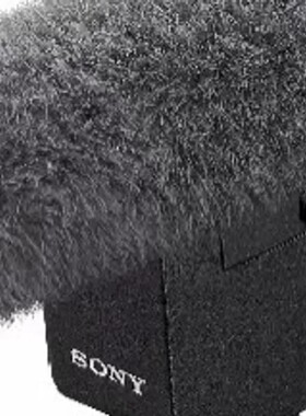 请询价-Sony/ ECM-B10枪型 数字音频 A7M4