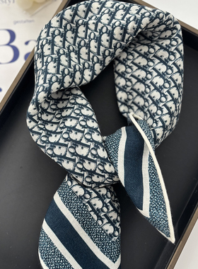 2025新款蓝色D字母羊毛围巾秋冬真丝小丝巾女韩版高级感真丝方巾