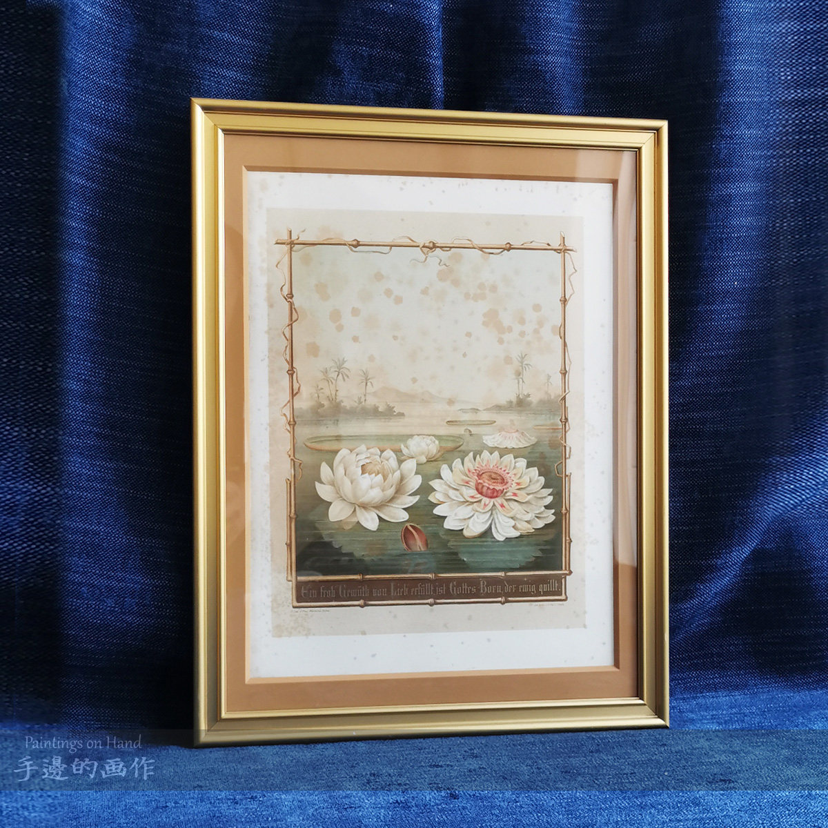 德国1870年代古董套色石印版画收藏 珍稀框画 博物植物花卉 睡莲