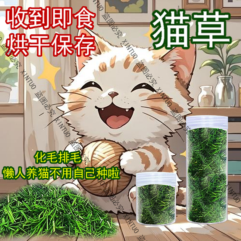 XINTUO新款烘干猫草即食新鲜猫草小麦草去毛球清口气营养已长好