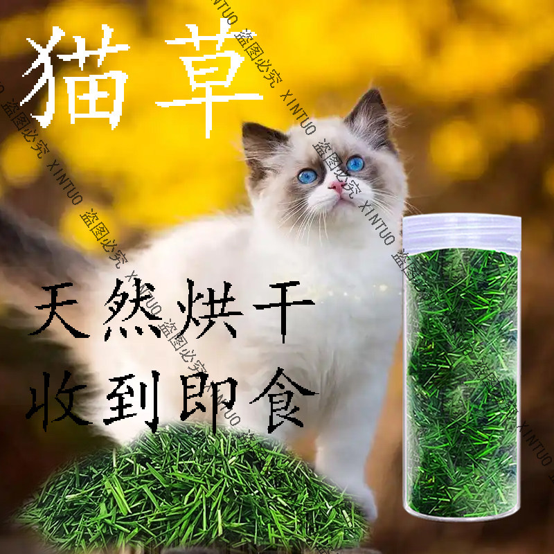 新鲜烘干猫草切段猫咪化毛排毛已种好发芽去毛球化毛猫零食猫薄荷