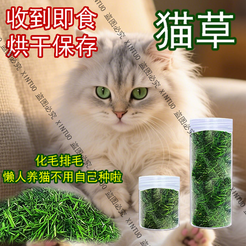 XINTUO猫草干草长好即食化毛球小麦草烘干猫草猫咪清口气助消化