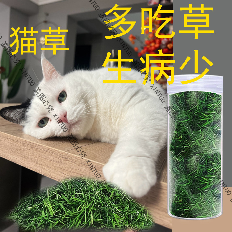 猫咪猫草烘干草芽化毛排毛猫零食洁齿去毛球多吃草少生病营养嫩草
