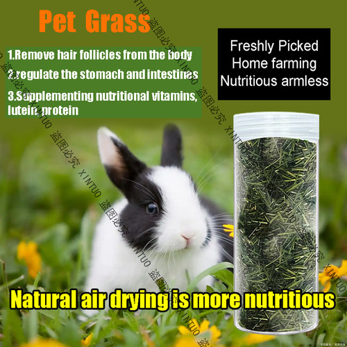 自家培植兔兔干草营养嫩草小狗辅食草排毛球清肠胃龙猫豚鼠荷兰猪