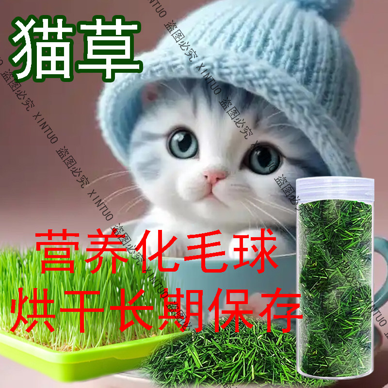 已长好烘干猫草猫咪专用化毛排毛猫咪零食去毛球调肠胃洁齿小麦草