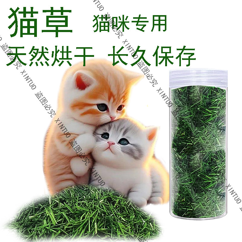 已长成的烘干猫咪猫草化毛排毛小麦草去毛球化毛小猫零食猫薄荷