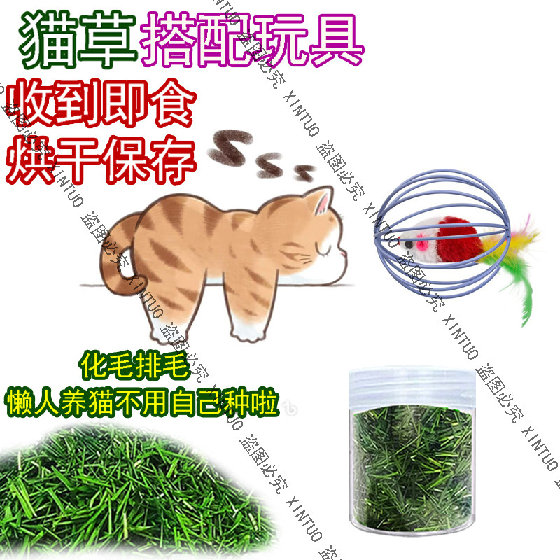 XINTUO新鲜烘干即食猫草化毛猫咪小麦草清口气毛绒老鼠逗猫球玩具