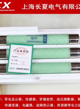 XRNP-10 高压熔断器电压互感器保护用XRNP-12/0.5A  XRNP1 1A厂价