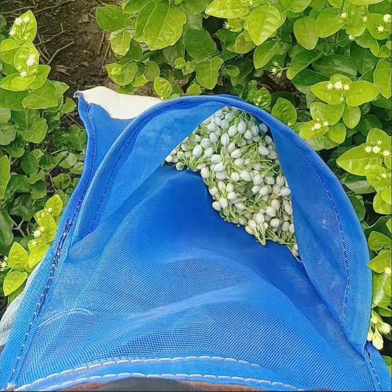 摘茶叶袋摘桑叶网袋透气耐用