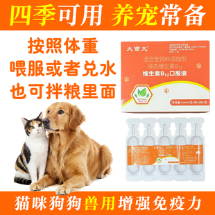 大重九维生素B12口服液猫狗宠物兽用通用液体易吸收5ML*10支