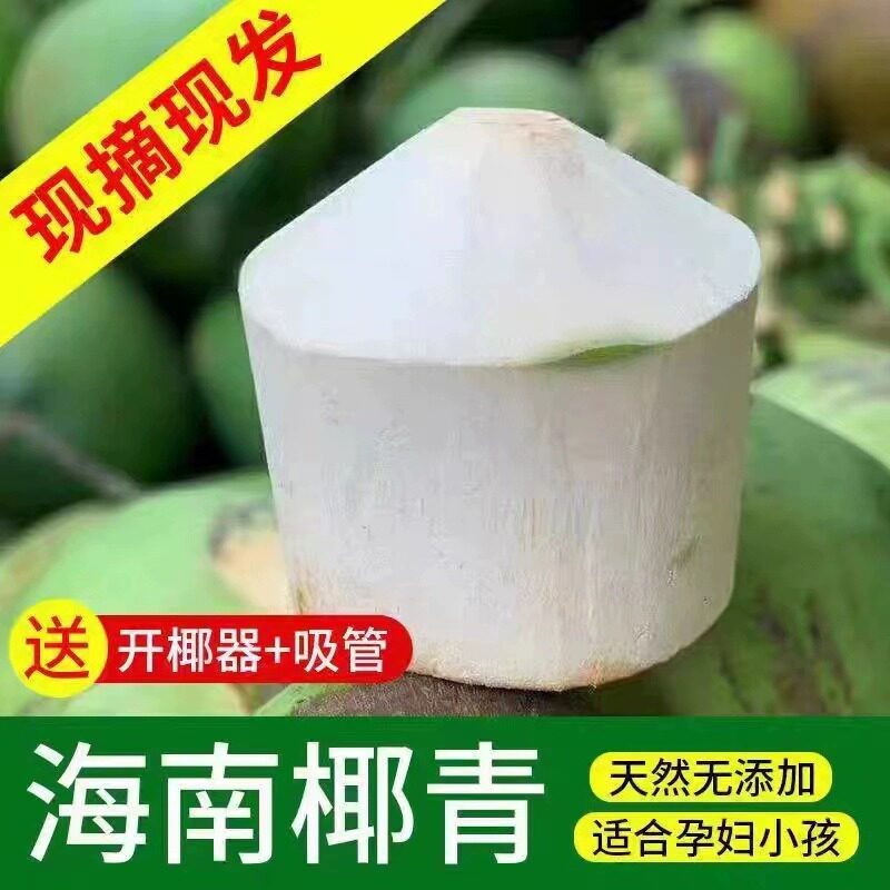 海南文昌新鲜现摘去皮椰青