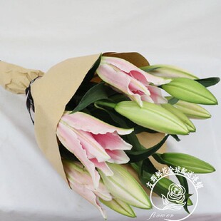 小束花束精致简约玫瑰雏菊桔梗居家装饰鲜花广州花店全国速递