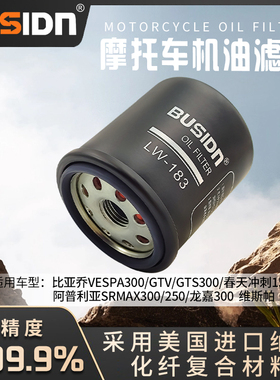 适用比亚乔VESPA300机滤春天冲刺/阿普利亚SRMA300/250滤芯维斯帕