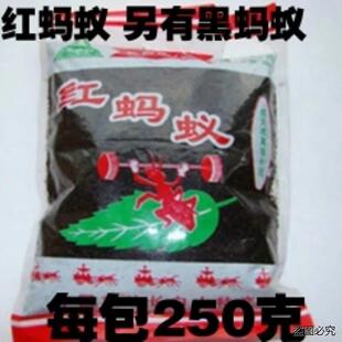 【完整】红蚂蚁中药材泡酒关节蚁酸充足大山蚂蚁 包邮!plus