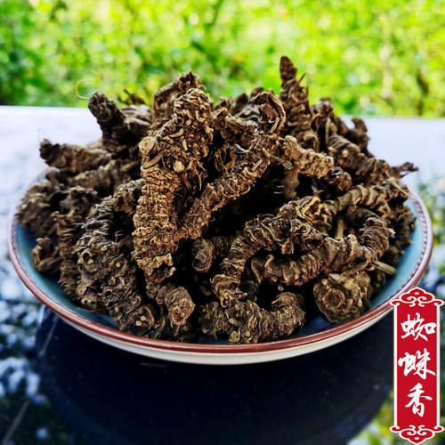 热销贵州野生蜘蛛香 整棵新干货500g包邮无硫缬草根自采养心真货